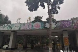 吉林公园爆料视频,揭秘公园背后的惊人真相