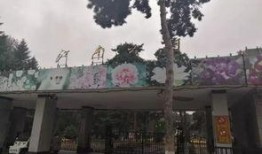 吉林公园爆料视频,揭秘公园背后的惊人真相