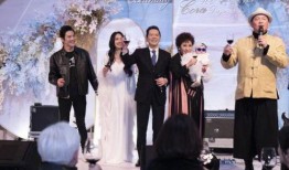 谁爆料的向佐结婚了视频,独家视频揭秘甜蜜婚礼现场