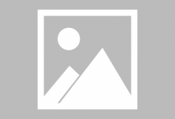 真假娱乐圈爆料