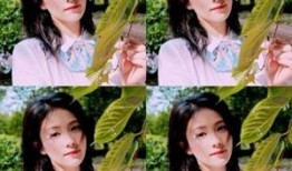 白鹿最近爆料视频大全,揭秘幕后真相与精彩瞬间