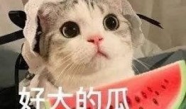 跪着吃瓜网红,网红新姿势引发网友热议