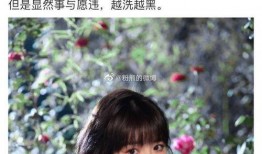 今日娱乐圈有什么瓜可以吃,揭秘今日热点事件