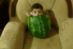 躺着吃免费的瓜