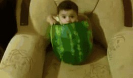 躺着吃免费的瓜