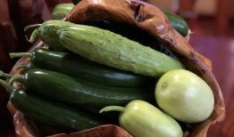 近期吃瓜事件网红有哪些,网红圈风云再起