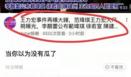 台湾爆料视频网站在线看,在线观看背后的真相与争议