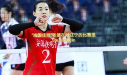 徐亮爆料辽宁队视频回放,视频回放揭示关键瞬间