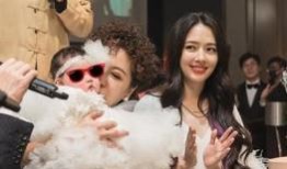 谁爆料的向佐结婚了视频,独家视频揭秘甜蜜婚礼现场