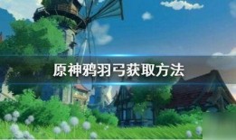 原神落霞爆料视频在哪看,揭秘神秘新内容