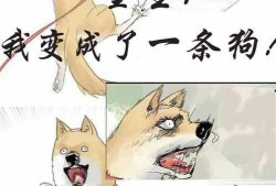 掐指吃瓜小说免费阅读,免费畅读掐指吃瓜小说