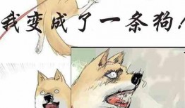 掐指吃瓜小说免费阅读,免费畅读掐指吃瓜小说