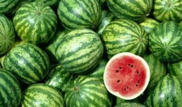 网红吃瓜1080p,1080p高清画面带你领略吃瓜现场