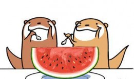 躺着吃免费的瓜