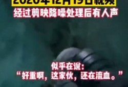 西藏冒险王近期爆料视频,探寻神秘高原的惊险历程