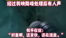西藏冒险王近期爆料视频,探寻神秘高原的惊险历程
