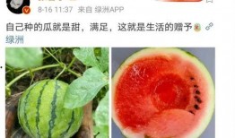 今日娱乐圈有什么瓜可以吃,揭秘今日热点事件