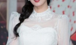 陈晨爆料内容介绍视频大全,视频大全背后的惊人真相