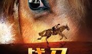 战马在线观看,跨越时空的骏马传奇