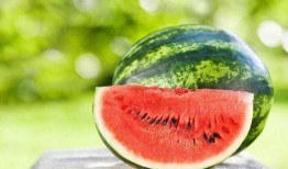 网红吃瓜1080p,1080p高清画面带你领略吃瓜现场