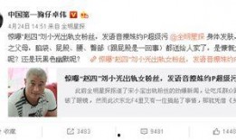 卓伟爆料有意思吗视频下载,揭秘“有意思视频”幕后真相，独家下载攻略大公开！