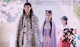 在线观看双世宠妃,双世宠妃的奇幻之旅