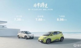 爆料新疆比亚迪最新消息,产能扩张与技术创新并进