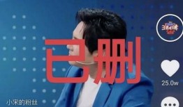宋亚轩爆料节目视频,独家爆料带你走进真实娱乐圈