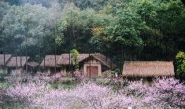 桃花源在线观看,在线探寻世外桃源的奇幻之旅