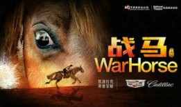 战马在线观看,跨越时空的骏马传奇