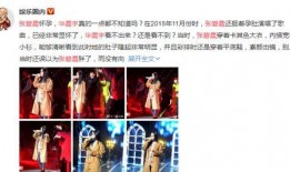 吃瓜系统娱乐心,揭秘娱乐圈背后的娱乐心