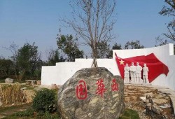 周口森林公园爆料视频播放,探秘自然奇观，感受生态魅力