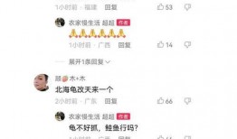 北海舅舅爆料视频,独家内幕大公开