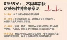杭州新闻爆料热线,聚焦城市脉搏，倾听民声心声