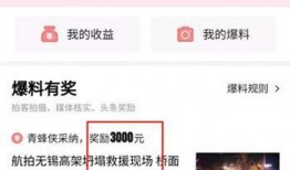 今日头条爆料美文,揭秘热门美文背后的故事