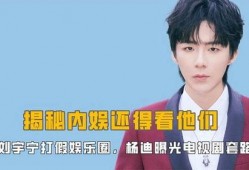 刘宇娱乐爆料视频大全下载,揭秘娱乐圈幕后故事