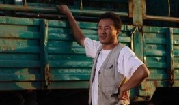 电影落叶归根在线观看,温情追忆，寻根之旅