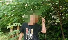 吉林公园爆料视频,揭秘公园背后的惊人真相