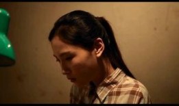 谜人的保母在线观看,在线观看背后的故事与真相