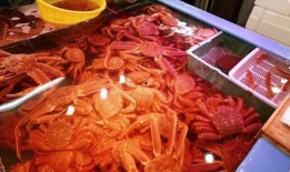 路边摊鱿鱼爆料视频真实