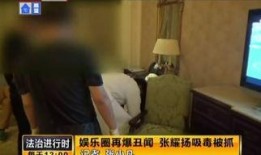 丑闻纪事 在线观看,揭秘娱乐圈风云变幻的幕后真相