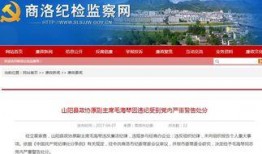 商洛市新闻爆料电话号码,揭秘市民爆料新途径