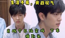 零食哥被爆料视频,揭秘网红背后的惊人真相