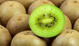 猕猴桃最新爆料视频播放,最新爆料视频带你领略奇异果魅力