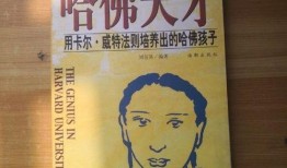 大连探店爆料视频大全,揭秘热门美食与隐藏宝藏