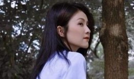 白鹿最近爆料视频大全,揭秘幕后真相与精彩瞬间