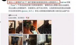 善男被爆料出轨视频,一段不为人知的情感纠葛