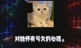 娱乐爆料吃瓜八卦视频,吃瓜群众必看的八卦视频盘点