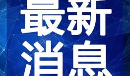 魔味鸭最新爆料视频大全,揭秘美食背后的故事与魅力