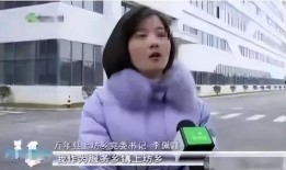 嘉美爆料后续事件视频,揭秘事件真相与惊人内幕